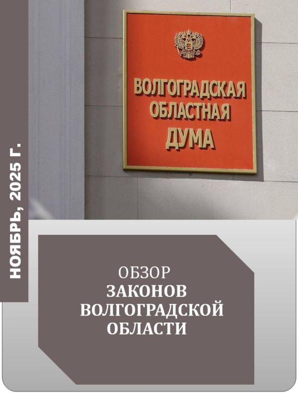 Обзор отдельных региональных законов ноября в карточках