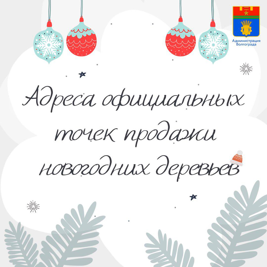 Площадки для продажи хвойных деревьев в преддверии Нового Года откроются в каждом районе Волгограда Площадки для продажи хвойных деревьев в преддверии Нового Года откроются в каждом районе Волгограда