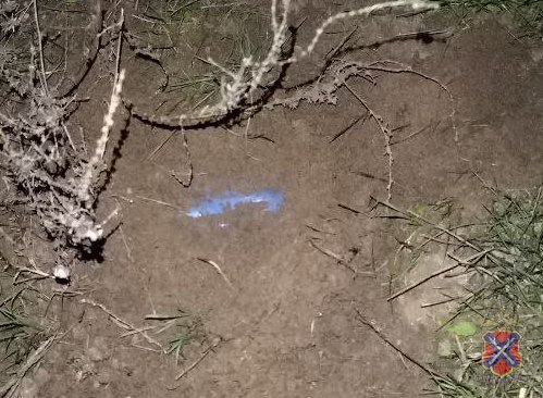 Волгоградские полицейские задержали подозреваемых в покушении на сбыт наркотиков Волгоградские полицейские задержали подозреваемых в покушении на сбыт наркотиков