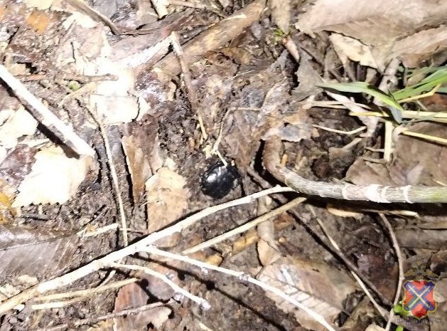 Волгоградские полицейские задержали подозреваемых в покушении на сбыт наркотиков