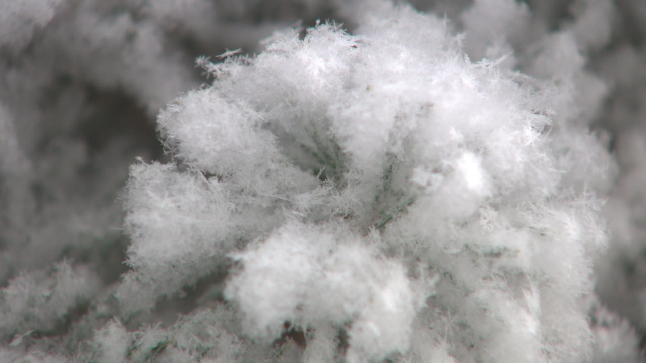 Первый декабрьский снег пообещали в Волгоградской области уже в пятницу