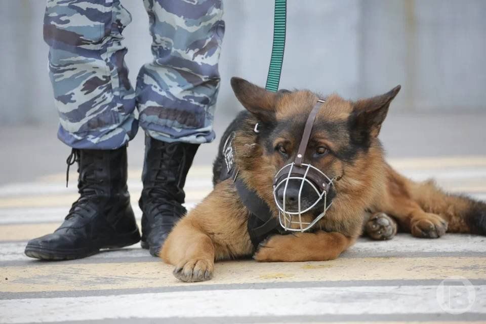 Трое жителей Волгоградской области с ломом пошли воровать чужое имущество