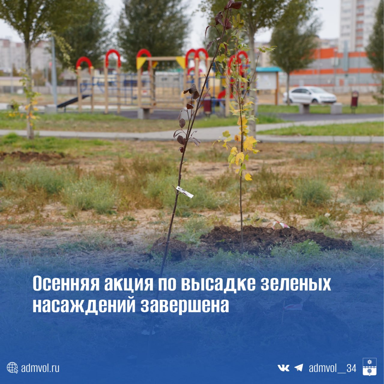 Осеннее озеленение Волжского: подведены итоги сезона