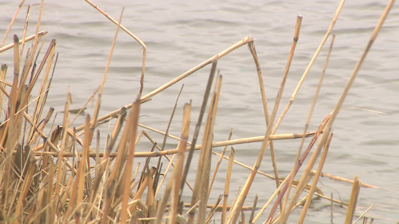 С владельца затонувшего судна взыскали ущерб за загрязнение Волги
