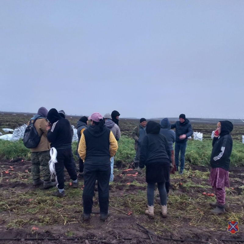 В Городищенском районе проведён рейд по контролю за соблюдением иностранцами миграционного законодательства