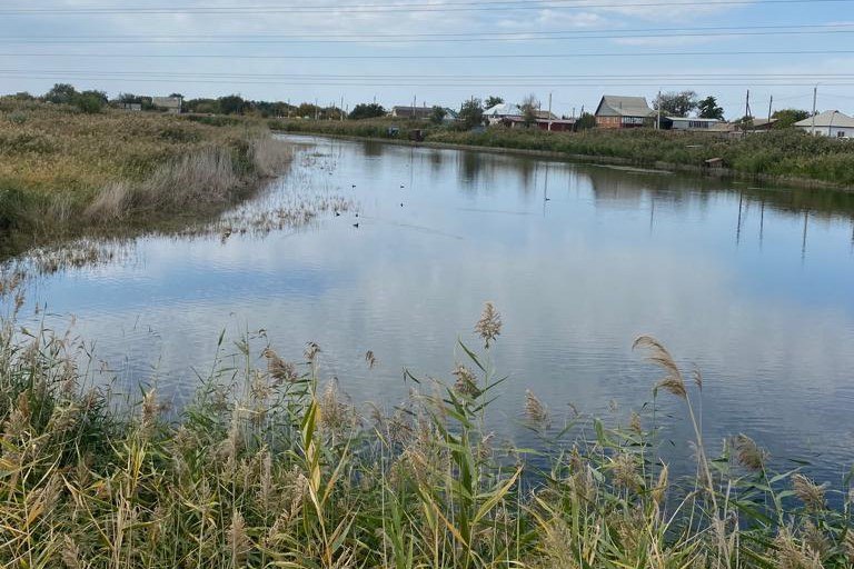 В Волгоградской области разработали проект расчистки реки Торгун в Палласовском районе