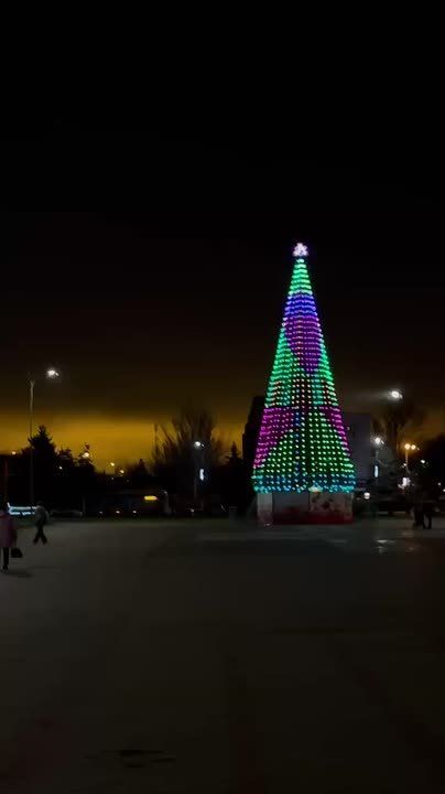 На главной площади города — площади Ленина — установлена праздничная ель