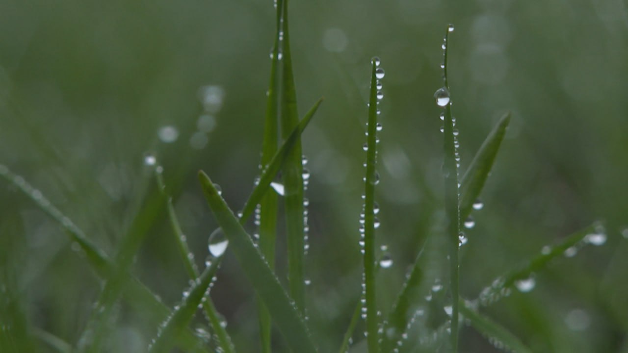 Волгоградские аграрии опасаются повторения бесснежной зимы Волгоградские аграрии опасаются повторения бесснежной зимы