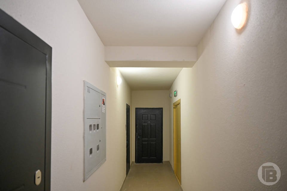 Волгоградцам назвали 3 способа выселить невыносимых соседей