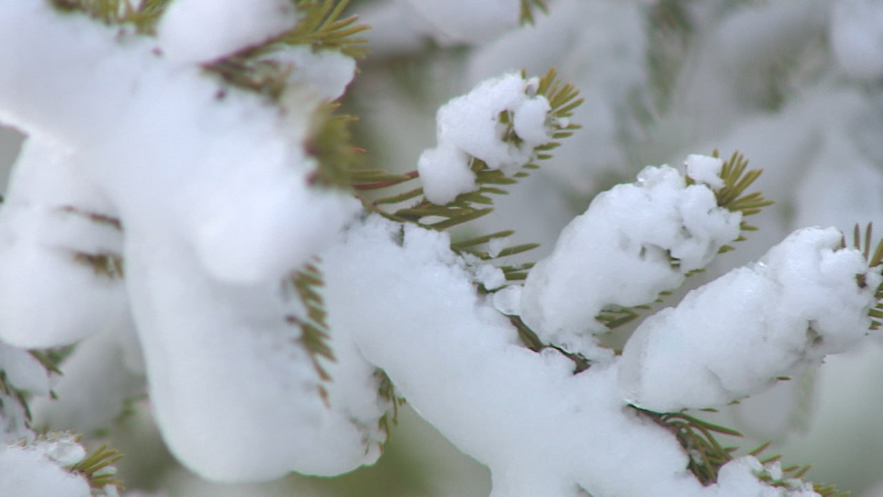 Прогноз погоды на три дня сделали волгоградские синоптики