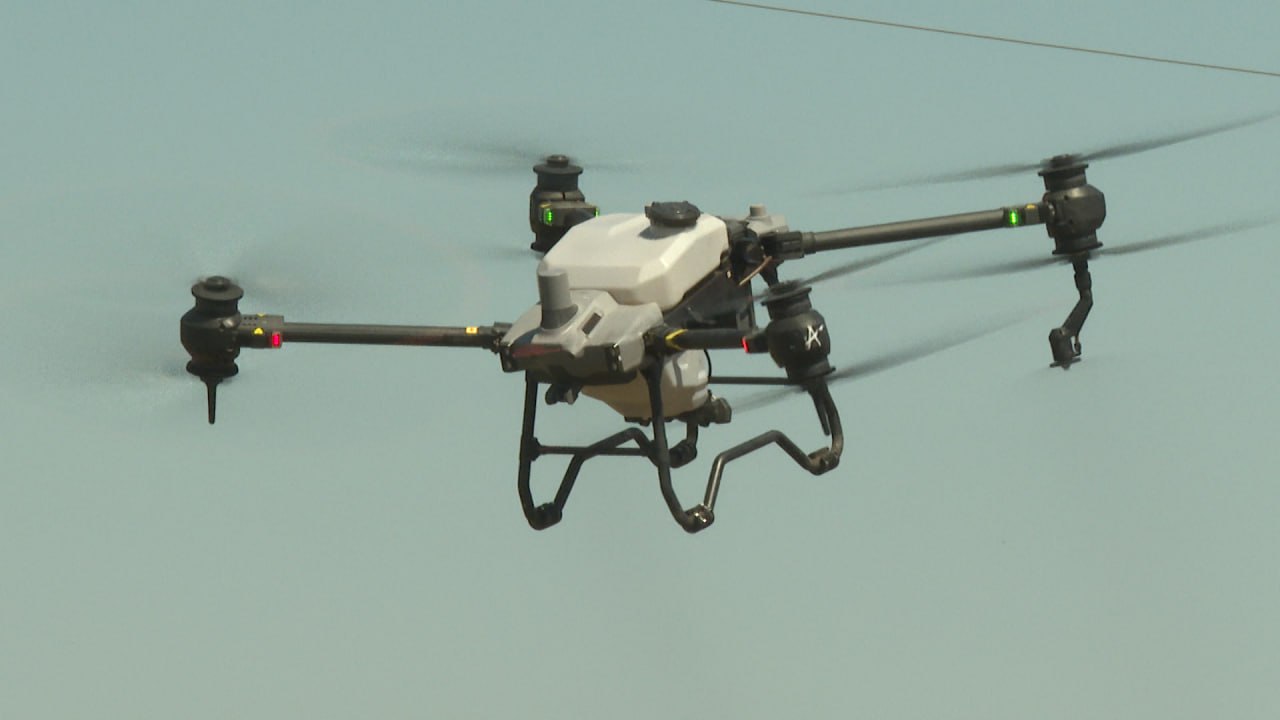 В Волгоградской области усилят мониторинг лесного фонда при помощи БПЛА