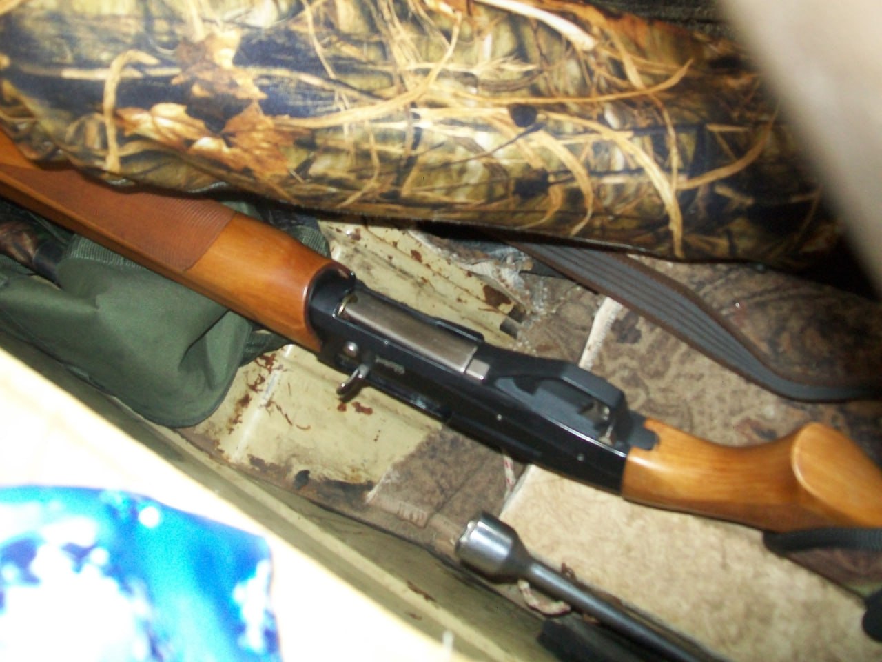 Браконьеры подстрелили самку кабана в госзаказнике под Волгоградом