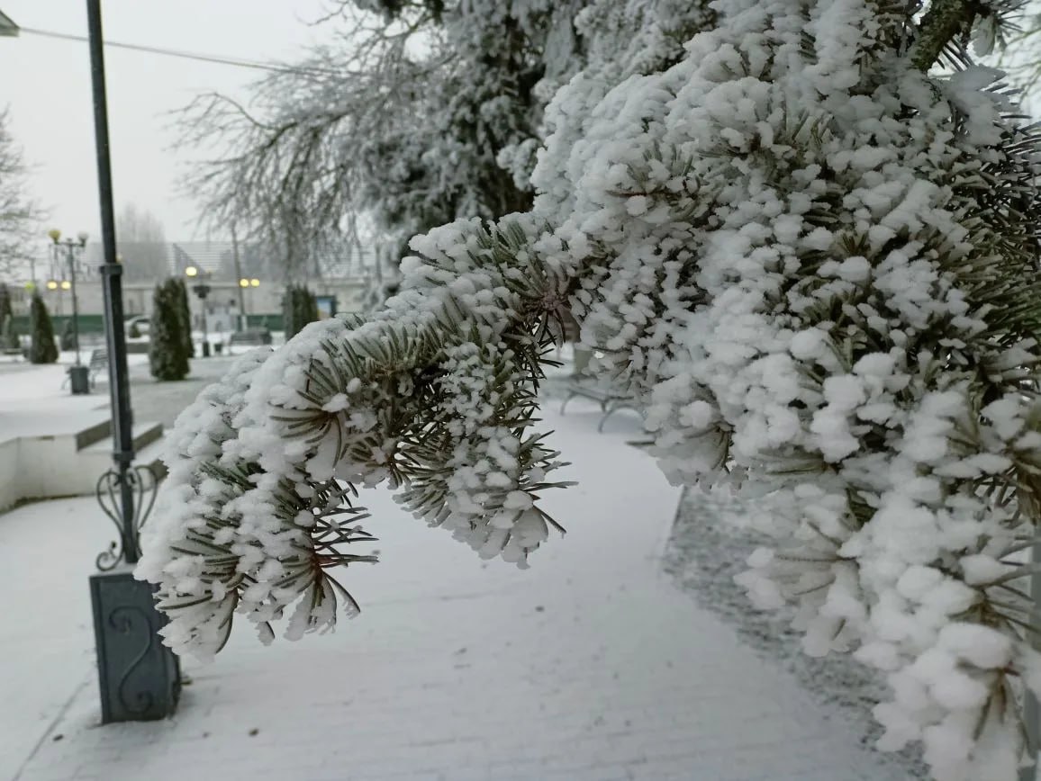 Север Волгоградской области засыпало снегом