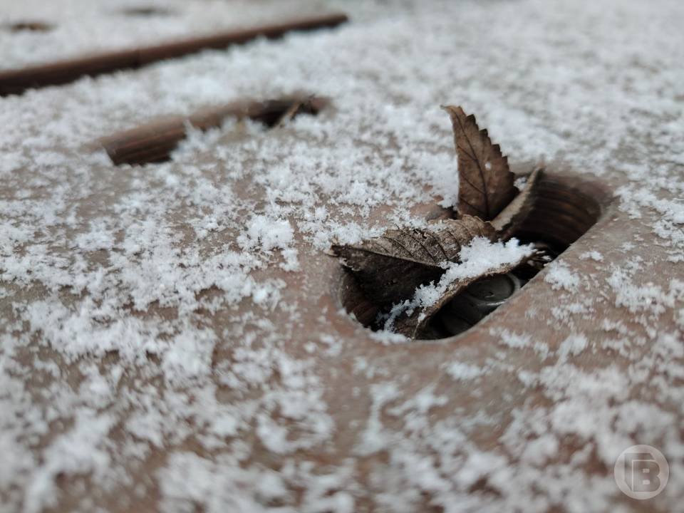 В Волгограде первый снег припорошил улицы: смотрим фото В Волгограде первый снег припорошил улицы: смотрим фото