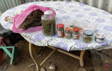 Полицейские Быковского района пресекли незаконное хранение наркотического средства