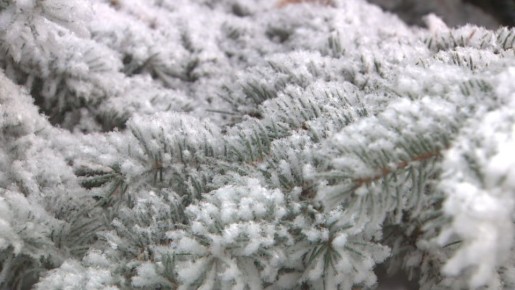 Снег с похолоданием прогнозирует Волгоградский ЦГМС на выходных