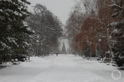 В Волгограде 13 декабря прогнозируют снег, метель и сильный ветер