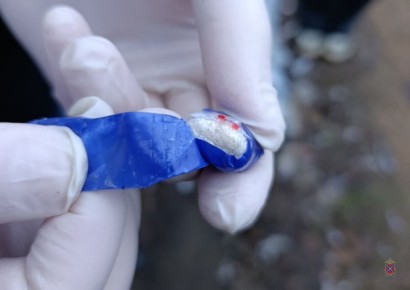 Полицейские Камышина задержали подозреваемого в покушении на приобретение наркотика