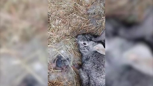 ������ �������� �������� � ����� ����������