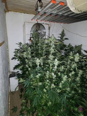 � ����������� ������ ����������� ������� ���� �������� ������������� ������� � ����������� �������