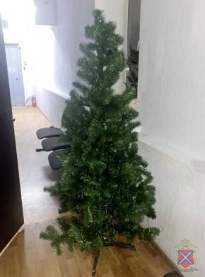 В Ворошиловском районе раскрыта кража новогодней елки