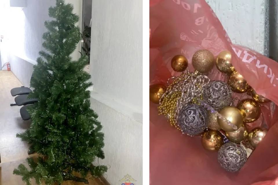 В Волгограде троим похитителям новогодней елки с шарами грозит 6 лет