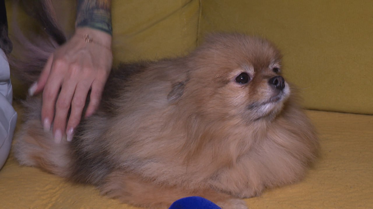 Новогодние торжества все ближе Новогодние торжества все ближе