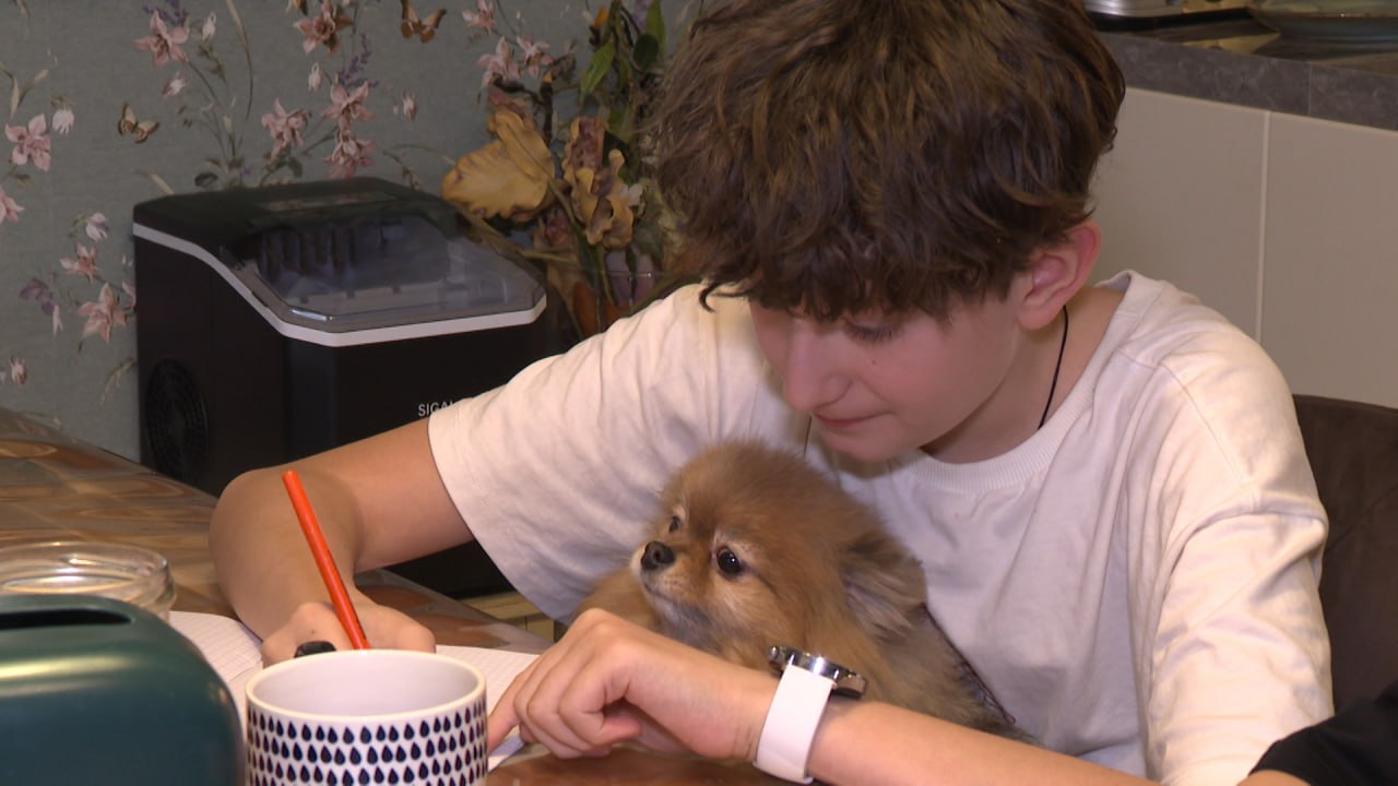 Новогодние торжества все ближе Новогодние торжества все ближе