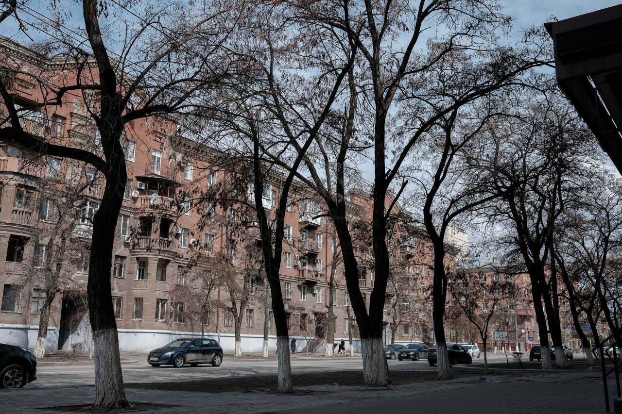 Волгоград возглавил рейтинг по снижению цен на аренду жилья в 2025 году