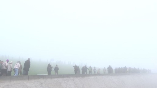 Волгоградская область вошла в топ-10 регионов страны по росту турпотока в 2025 году