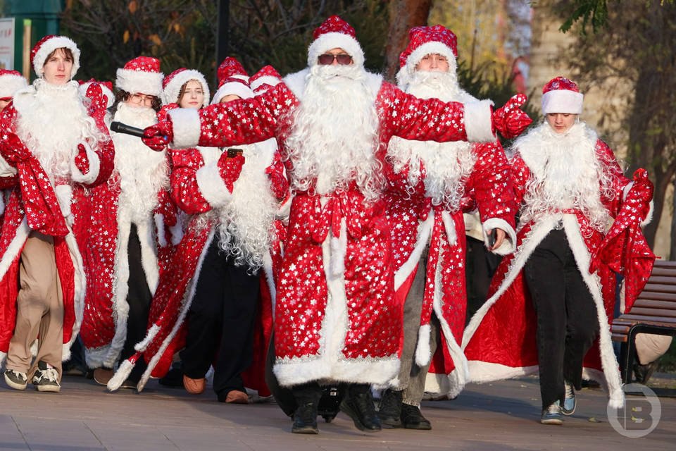 Афиша новогодних мероприятий опубликована в Волгограде