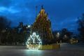 В Волгограде главная елка «переехала» в Горсад