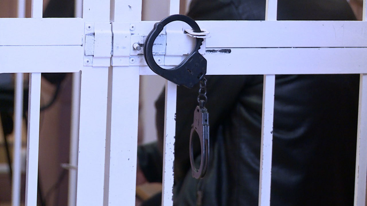 В Волгограде членов ОПГ отправили в колонию за вылов краснокнижных рыб