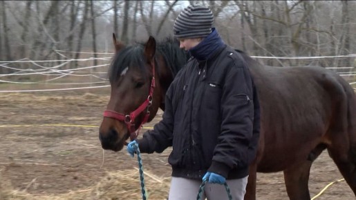 Полиция Волгоградской области в кратчайшие сроки раскрыла преступление, поражающее своим садизмом