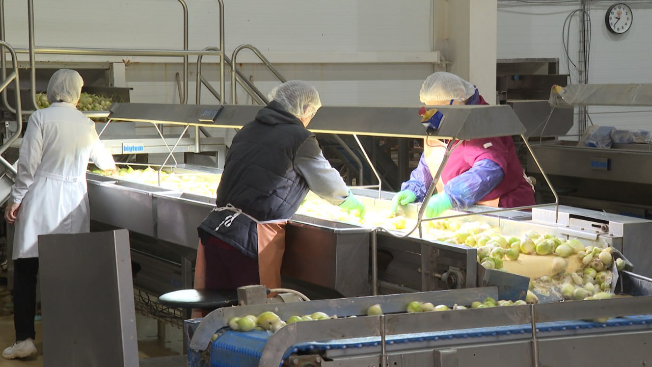 Новую линию сушки овощей создают в агрокомплексе под Волгоградом