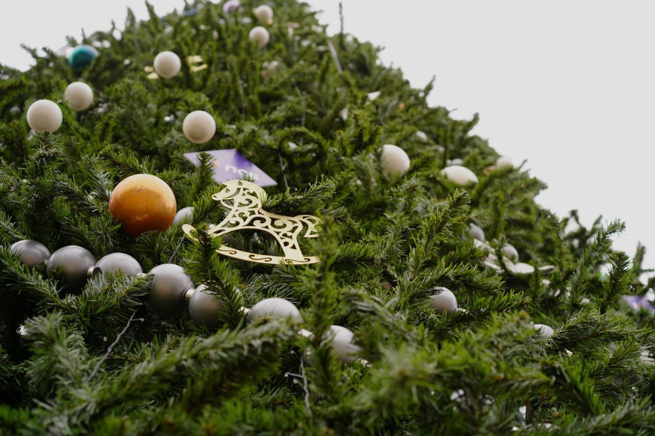 Два парка Волгограда в этом году ответственные за новогодние развлечения