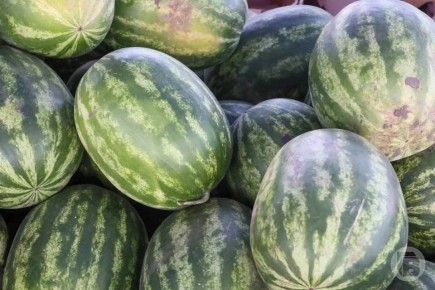 ��������� ����� �������� ����� ������������� �������