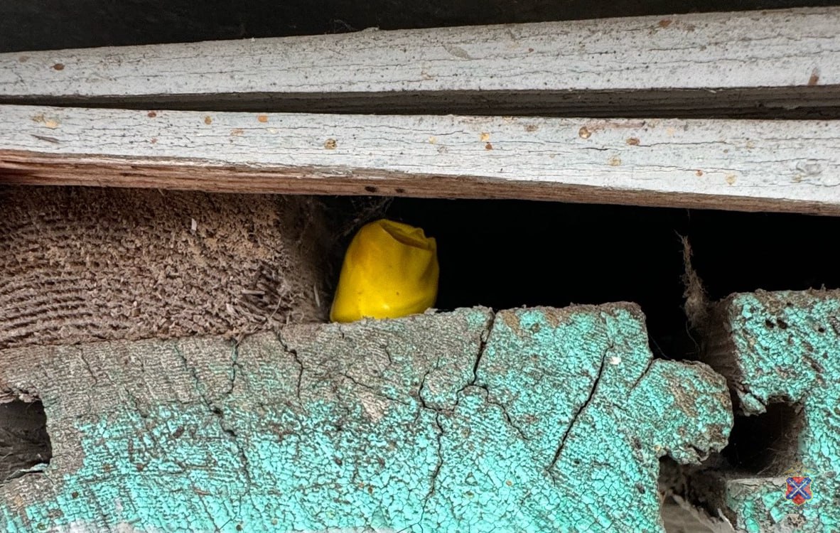 Полицейские задержали иностранца, подозреваемого в покушении на незаконный сбыт синтетических наркотиков Полицейские задержали иностранца, подозреваемого в покушении на незаконный сбыт синтетических наркотиков