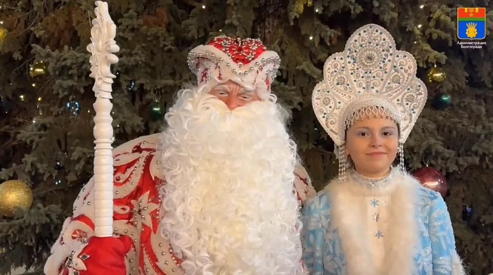 Главная ель сегодня засияла в центре Волгограда