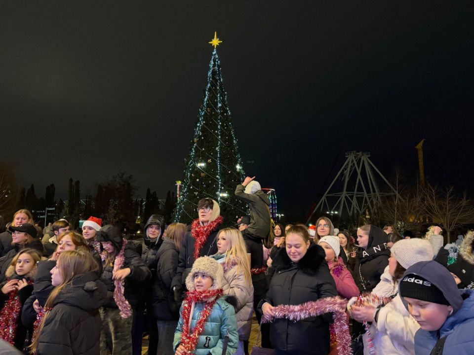 В Волгограде зажгли огни на двух городских елках