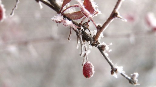 �����, ������� � ������ ���� ������� ������������ � ��������