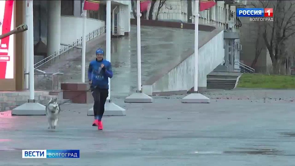 Волгоградец Денис Галактионов и его хаски Шелдон взяли «серебро» на 50-часовом забеге