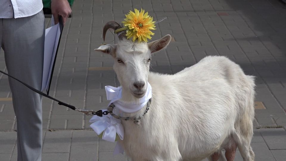 ������������� ����� ������ � ��������� � 1 ������