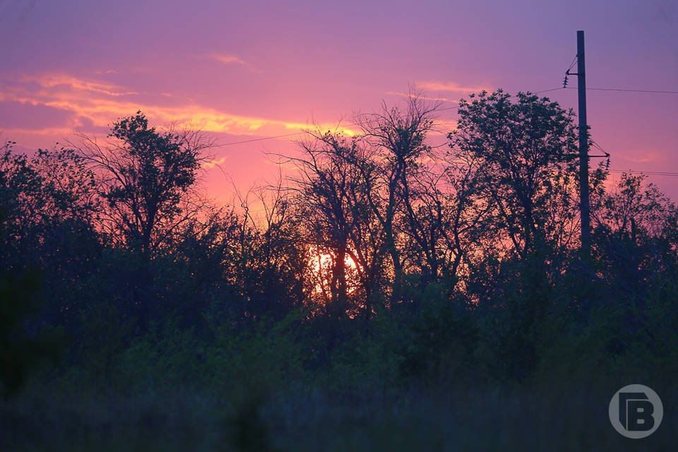 � ������������� ������� �������� ����� ����������� ���������