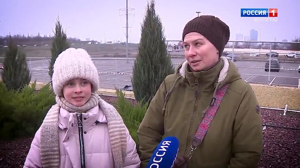 Без какого блюда нельзя представить новогодний стол? Спросили у волгоградцев