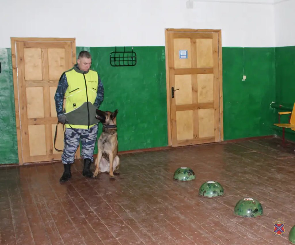 Полицейские Жирновска совместно с сотрудниками ГУ МВД России по Волгоградской области поздравили детей с наступающим Новым годом Полицейские Жирновска совместно с сотрудниками ГУ МВД России по Волгоградской области поздравили детей с наступающим Новым годом