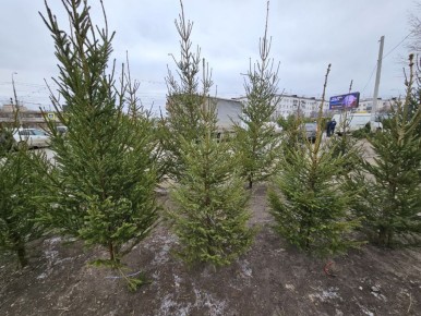 �� ������� ��������� ������������ ����, ����� � ����� � ������ ����