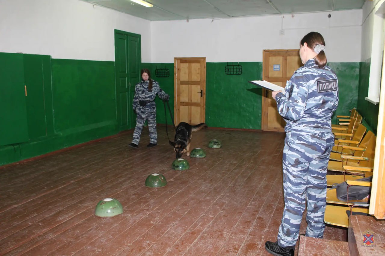 Полицейские Жирновска совместно с сотрудниками ГУ МВД России по Волгоградской области поздравили детей с наступающим Новым годом Полицейские Жирновска совместно с сотрудниками ГУ МВД России по Волгоградской области поздравили детей с наступающим Новым годом