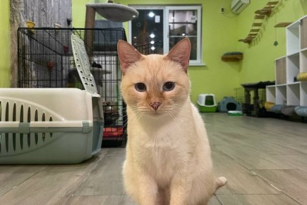 ��� ���� �� ������ � �������� ������ ��������