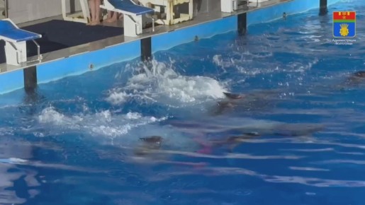 Накануне в УСК «Крытый плавательный бассейн ФГБОУ ВО «ВГАФК» состоялось «Новогоднее шоу на воде»